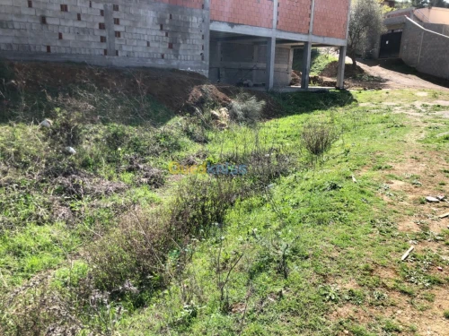 Vente Terrain Sétif Beni chebana