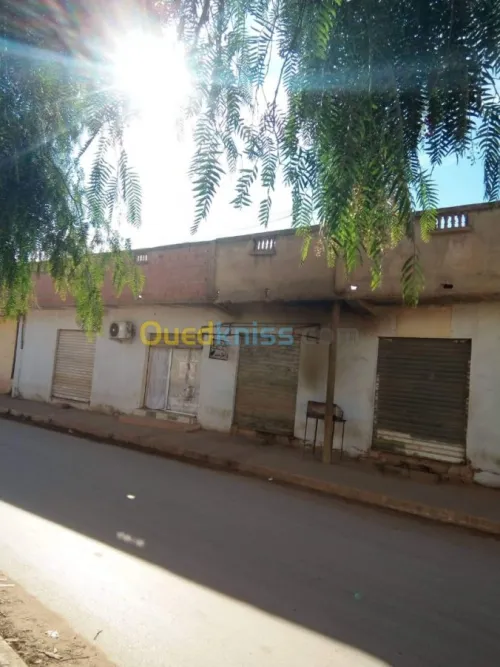 Vente Appartement F1 Chlef Chettia