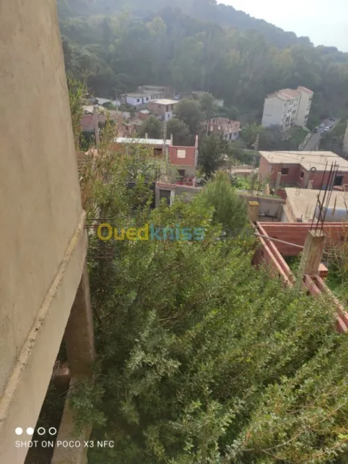 Location bien immobilier Tipaza Cherchell