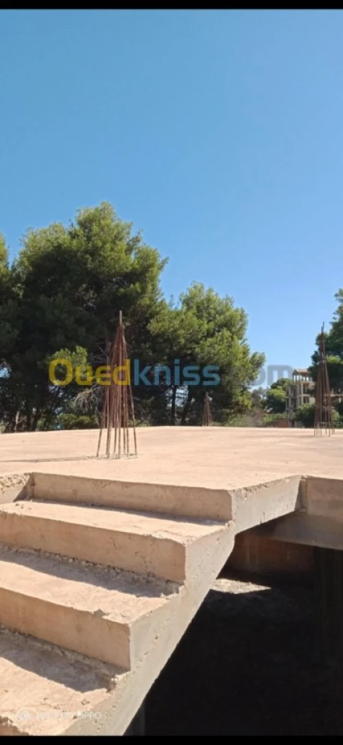 Vente Carcasse Tipaza Tipaza