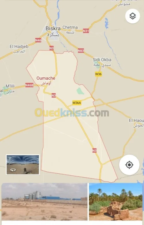 Vente Terrain Agricole Biskra Oumache