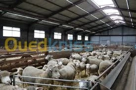 CONSTRUCTION METALLIQUE ET ASCENSEUR