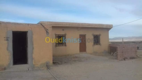Vente Terrain Agricole Khenchela Tamza