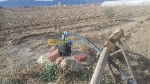 Vente Terrain Agricole Khenchela Tamza