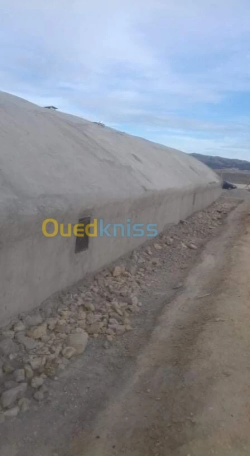 Vente Terrain Agricole Khenchela Tamza