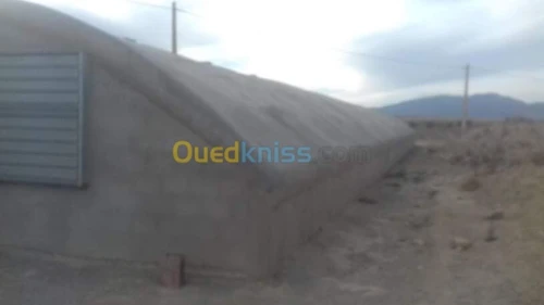 Vente Terrain Agricole Khenchela Tamza