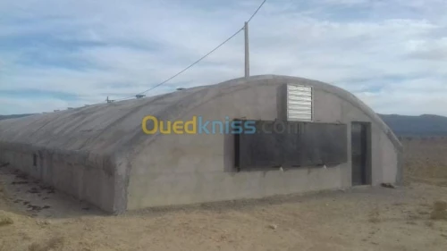 Vente Terrain Agricole Khenchela Tamza