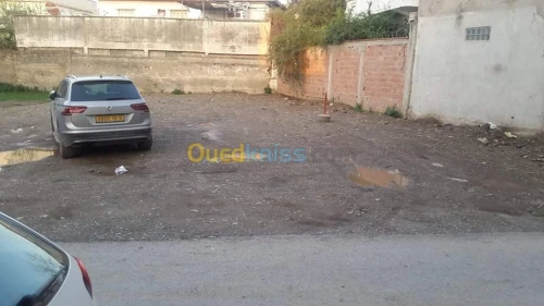 Vente Terrain Blida Blida