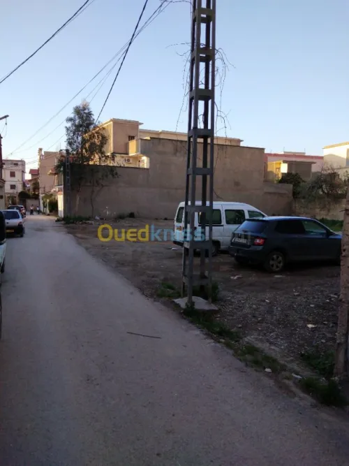Vente Terrain Blida Blida