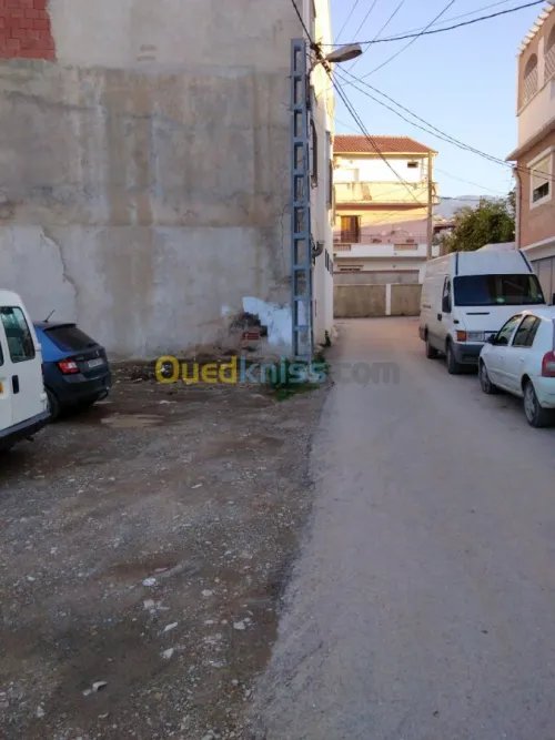 Vente Terrain Blida Blida