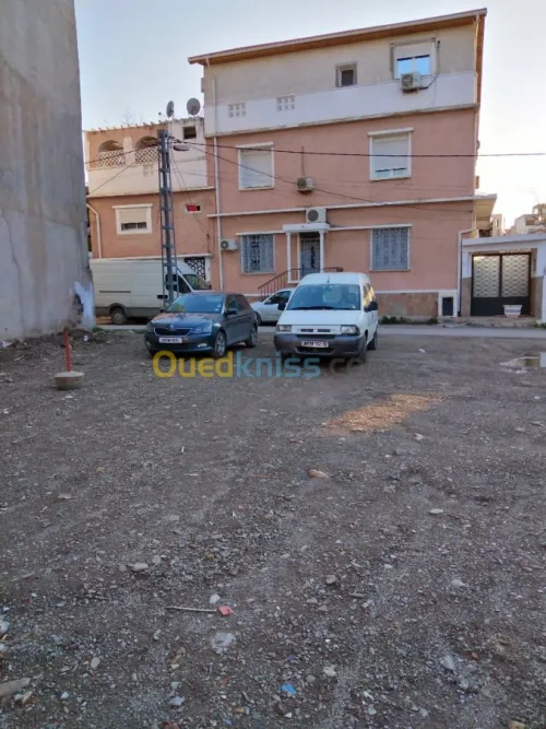 Vente Terrain Blida Blida