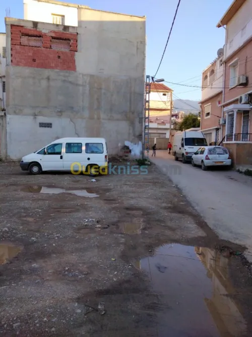 Vente Terrain Blida Blida