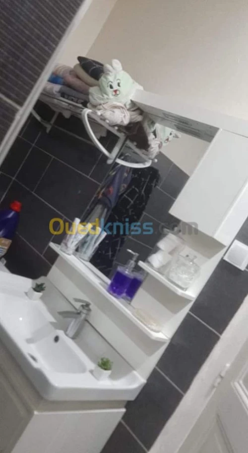 Vente bien immobilier Tiaret Tiaret