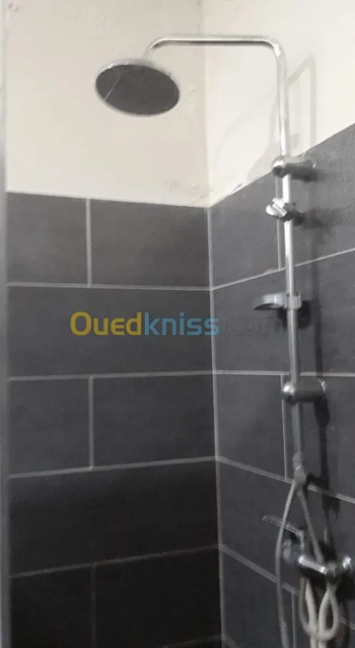 Vente bien immobilier Tiaret Tiaret