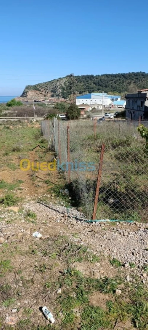 Vente Terrain Jijel Ziama mansouriah