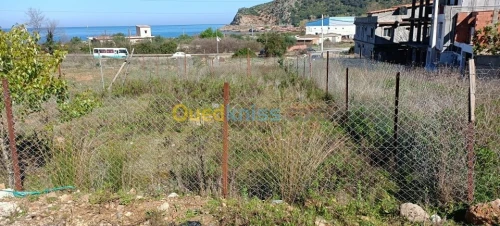 Vente Terrain Jijel Ziama mansouriah