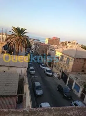 Vente Carcasse Alger Alger centre