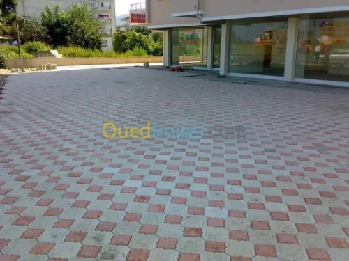 Pave trotoire autobloquant couleur 