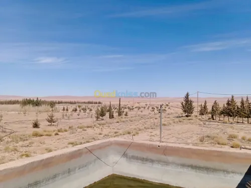 Vente Terrain Agricole Naama Ain ben khelil