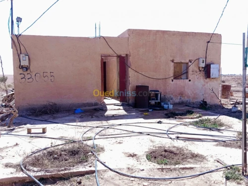Vente Terrain Agricole Naama Ain ben khelil