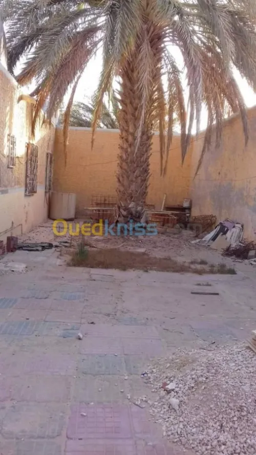 Vente bien immobilier El oued Guemar