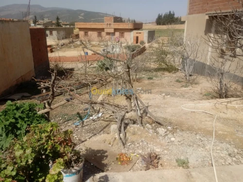 Vente Appartement F2 Batna Ras el aioun