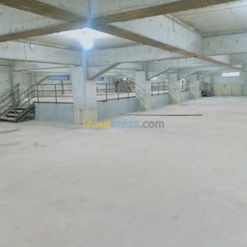 Location Hangar Boumerdes Hammedi
