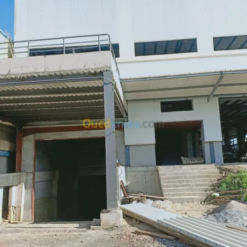 Location Hangar Boumerdes Hammedi