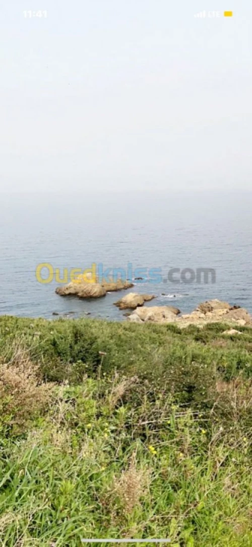 Vente Terrain Tizi ouzou Iflissen