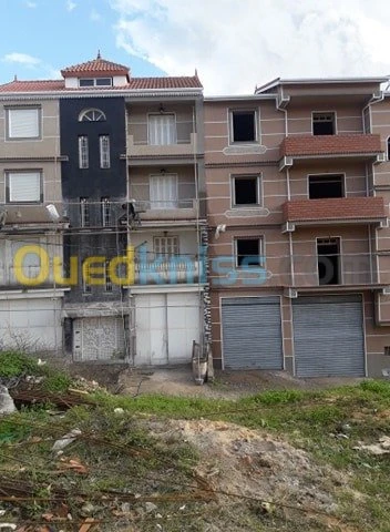décoration de façade plus maçonnerie 