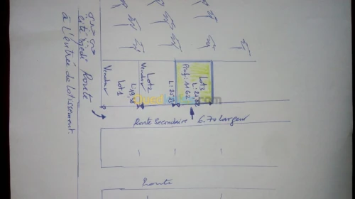 Vente Terrain Blida Ouled el alleug
