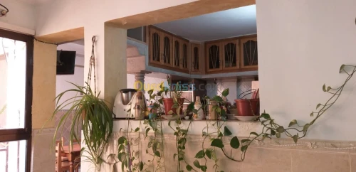 Vente Villa Sidi bel abbes Sidi bel abbes