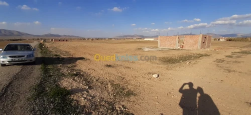 Vente Terrain Agricole Batna Lemsane