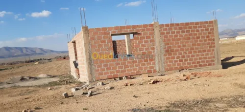 Vente Terrain Agricole Batna Lemsane