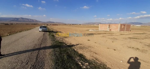 Vente Terrain Agricole Batna Lemsane