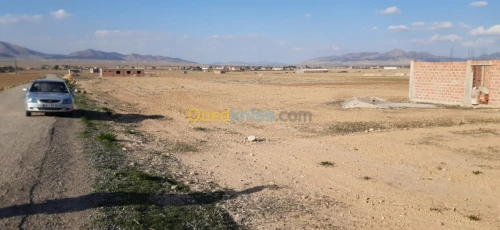 Vente Terrain Agricole Batna Lemsane