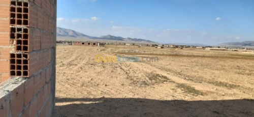 Vente Terrain Agricole Batna Lemsane