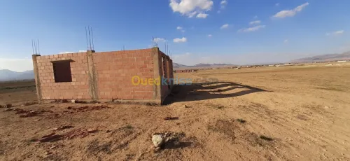 Vente Terrain Agricole Batna Lemsane