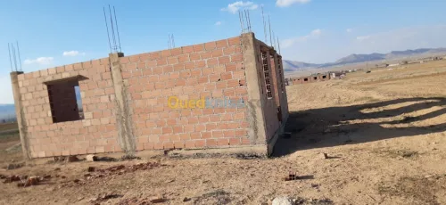 Vente Terrain Agricole Batna Lemsane