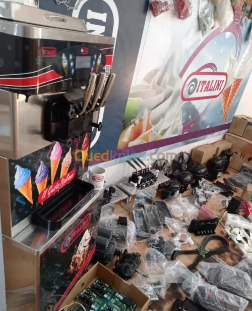 Machine a crème glacée 220 volte