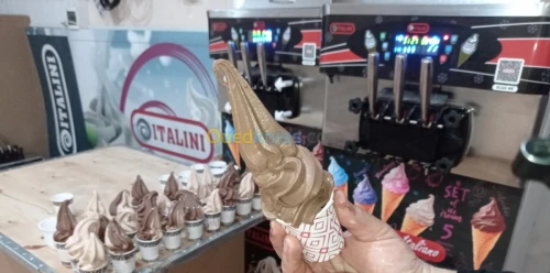 Machine a crème glacée 220 volte