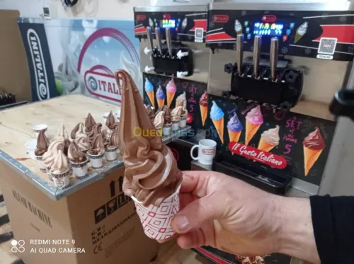 Machine a crème glacée 220 volte