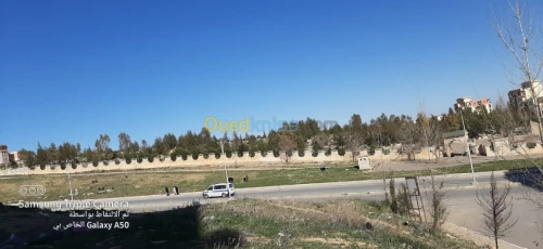 Vente Carcasse Tiaret Tiaret
