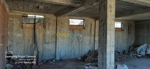 Vente Carcasse Tiaret Tiaret