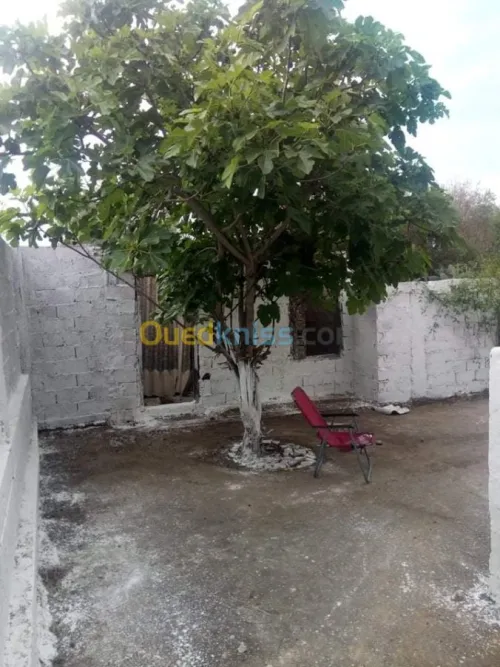Vente Villa El taref Ben mehdi