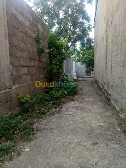 Vente Villa El taref Ben mehdi