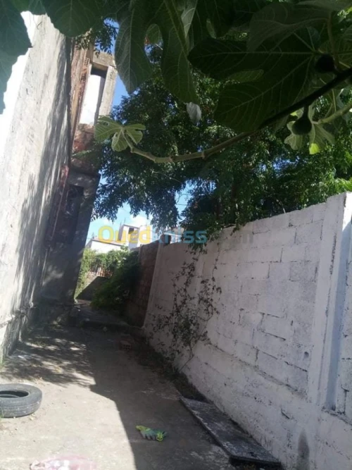 Vente Villa El taref Ben mehdi