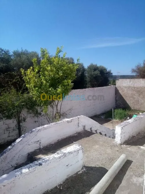Vente Villa El taref Ben mehdi