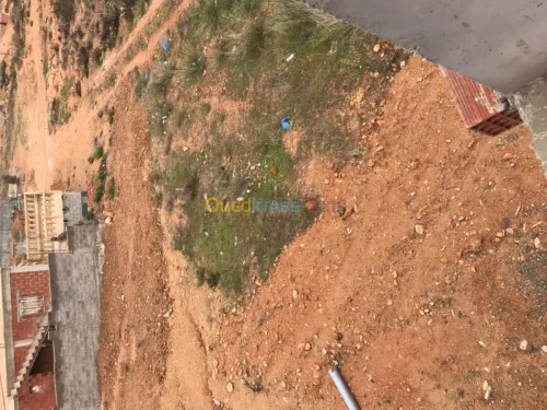 Vente Terrain Tlemcen Souk tlata
