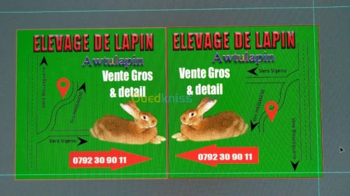 Peau de lapins